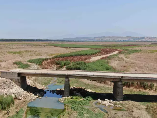 Yemek üretim tesisinde skandal! Yüzlerce kişiyi hastanelik edeceklerdi